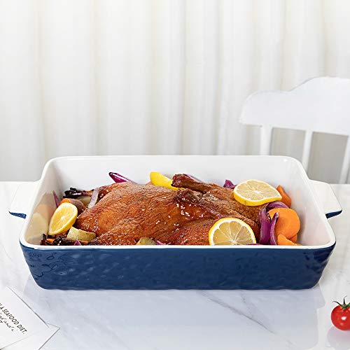 Ceramic Baking Dish with Handles, 9x13 Oven Casserole Pan Q16283