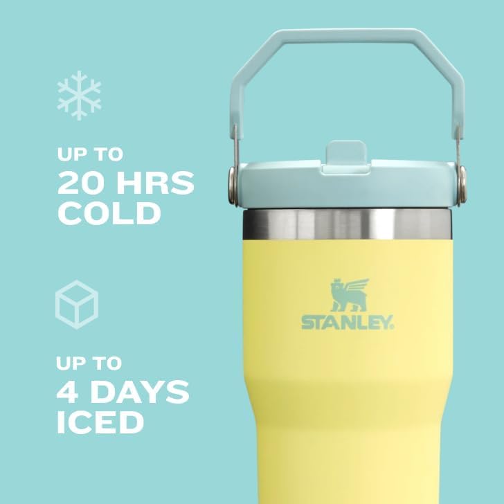 Stainless Steel Tumbler with Straw, Vacuum Insulated Water Bottle T393