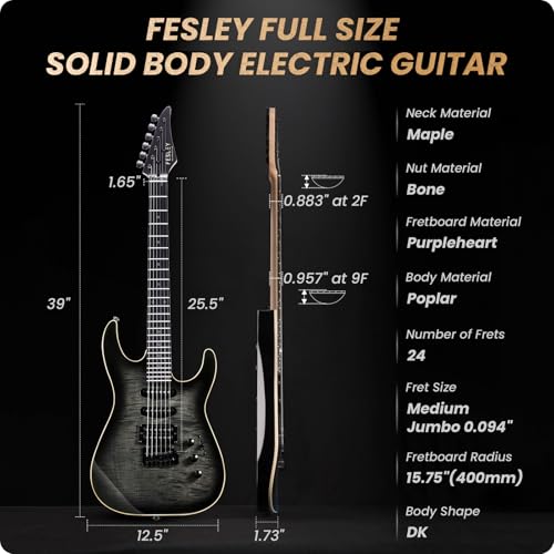 Solid Body Electric Guitar Kit with 24 Frets, HSS Pickup, Black R4019