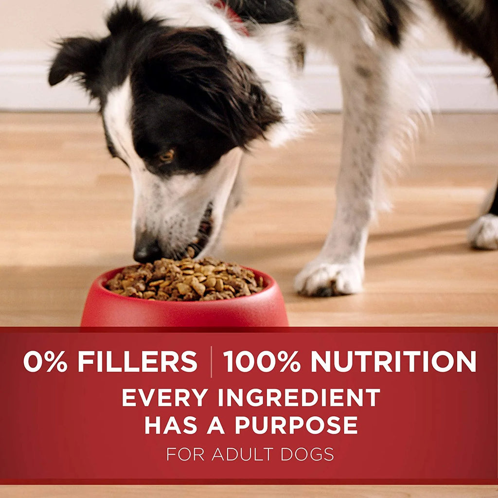 Adult Lamb & Rice Dry Dog Food R5120
