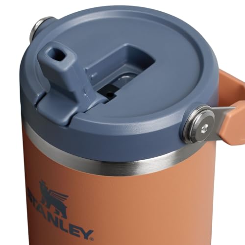 Stainless Steel Tumbler with Straw, Vacuum Insulated Water Bottle T393