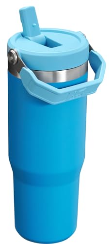 Stainless Steel Tumbler with Straw, Vacuum Insulated Water Bottle T393