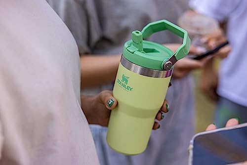 Stainless Steel Tumbler with Straw, Vacuum Insulated Water Bottle T393