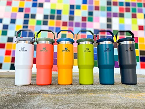 Stainless Steel Tumbler with Straw, Vacuum Insulated Water Bottle T393