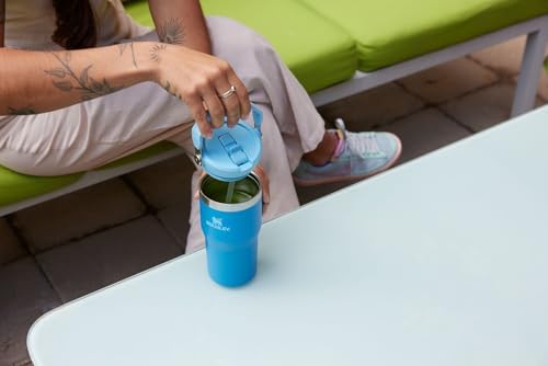Stainless Steel Tumbler with Straw, Vacuum Insulated Water Bottle T393