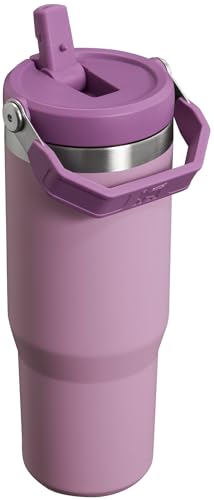 Stainless Steel Tumbler with Straw, Vacuum Insulated Water Bottle T393