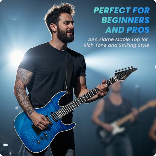 Solid Body Electric Guitar Kit with 24 Frets, HSS Pickup, Black R4019