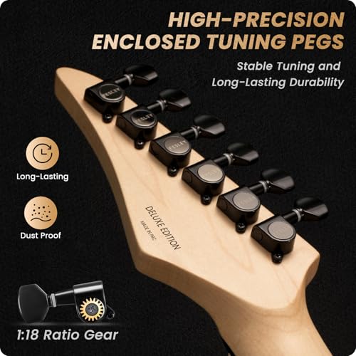Solid Body Electric Guitar Kit with 24 Frets, HSS Pickup, Black R4019