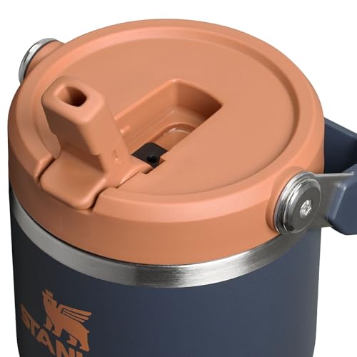 Stainless Steel Tumbler with Straw, Vacuum Insulated Water Bottle T393