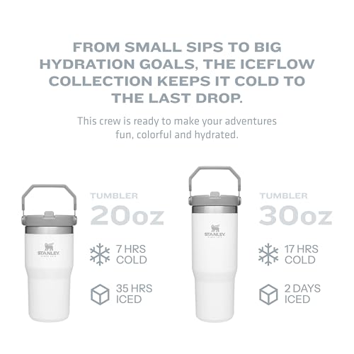Stainless Steel Tumbler with Straw, Vacuum Insulated Water Bottle T393
