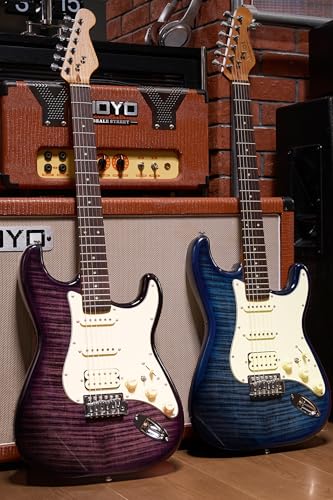 Electric Guitar with Coil-Split, Roasted Maple Neck, HSS Pickups, Beginner Kit with Amp and Bag C21096