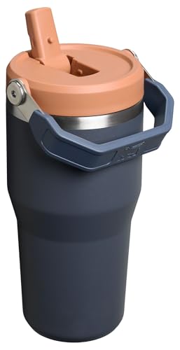 Stainless Steel Tumbler with Straw, Vacuum Insulated Water Bottle T393