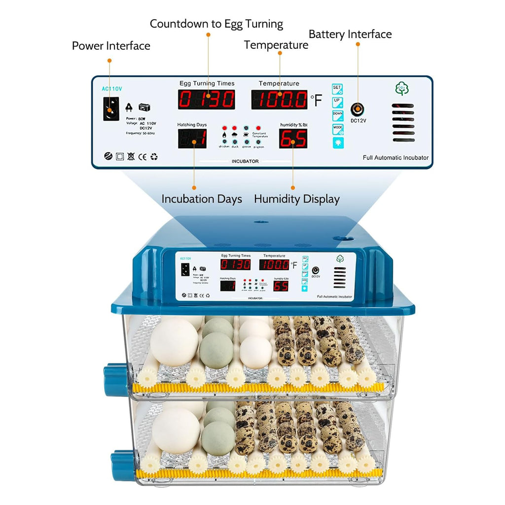 Automatic Temperature Control Egg Incubator for Hatching Chicken Quail Eggs L59461