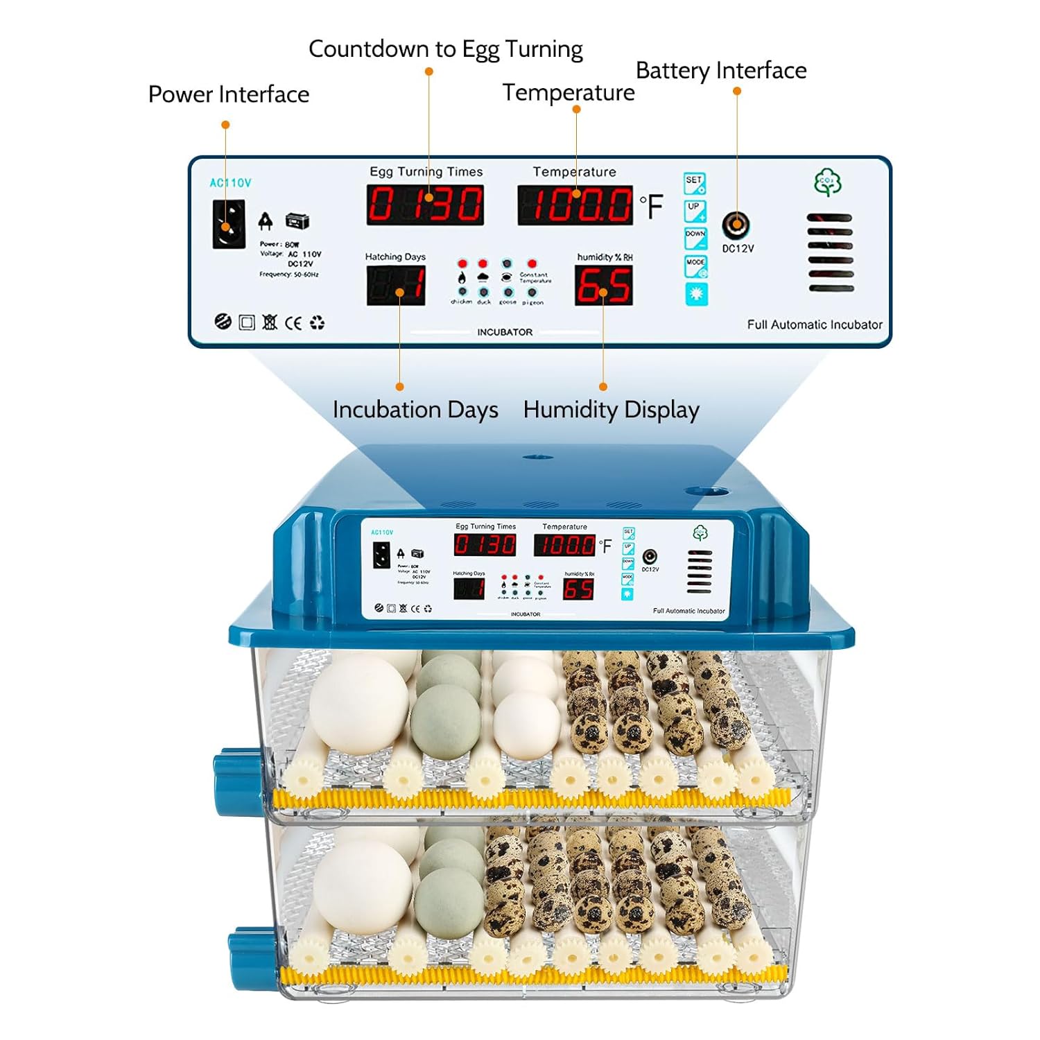 Automatic Temperature Control Egg Incubator for Hatching Chicken Quail Eggs L59461