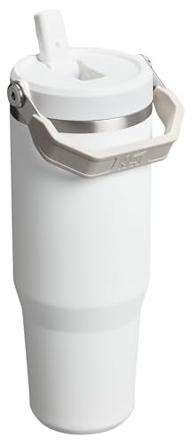 Stainless Steel Tumbler with Straw, Vacuum Insulated Water Bottle T393