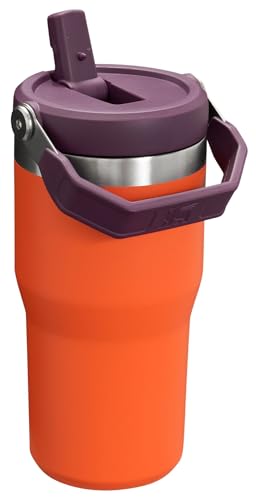 Stainless Steel Tumbler with Straw, Vacuum Insulated Water Bottle T393