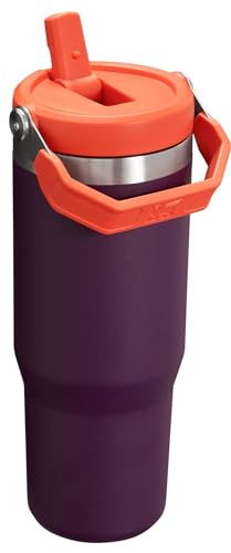 Stainless Steel Tumbler with Straw, Vacuum Insulated Water Bottle T393