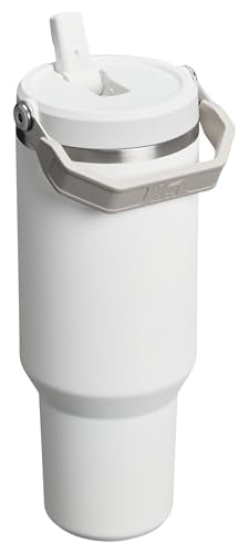 Stainless Steel Tumbler with Straw, Vacuum Insulated Water Bottle T393