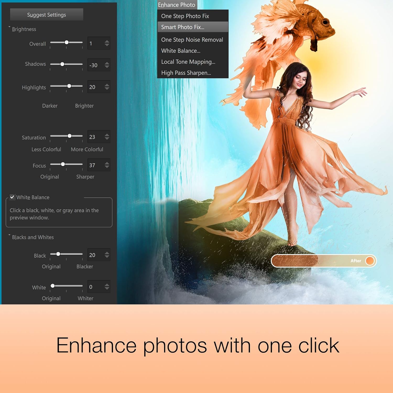 Photo Editing & Graphic Design Software [PC Disc] Z586