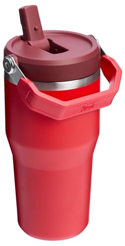 Stainless Steel Tumbler with Straw, Vacuum Insulated Water Bottle T393
