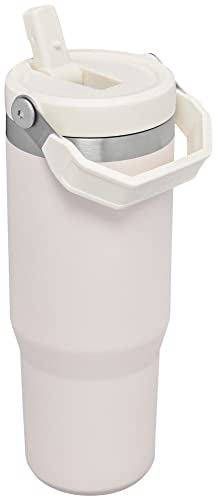 Stainless Steel Tumbler with Straw, Vacuum Insulated Water Bottle T393