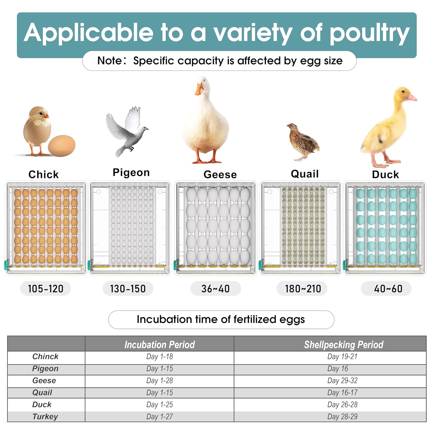 120 Eggs Incubator with Automatic Turning and Humidity Monitoring C66128