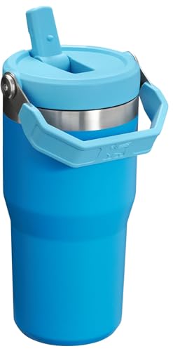 Stainless Steel Tumbler with Straw, Vacuum Insulated Water Bottle T393