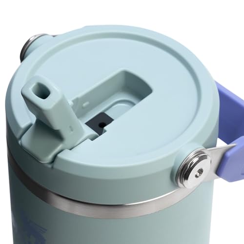 Stainless Steel Tumbler with Straw, Vacuum Insulated Water Bottle T393