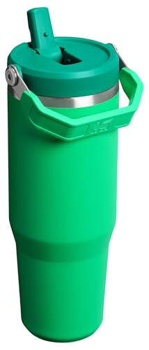 Stainless Steel Tumbler with Straw, Vacuum Insulated Water Bottle T393
