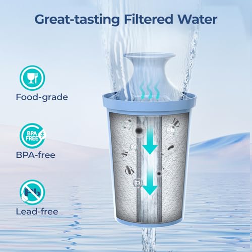 2-Pack Water Filter Replacements for Pitchers and Dispensers, Reduce Chlorine and Bad Taste A6882