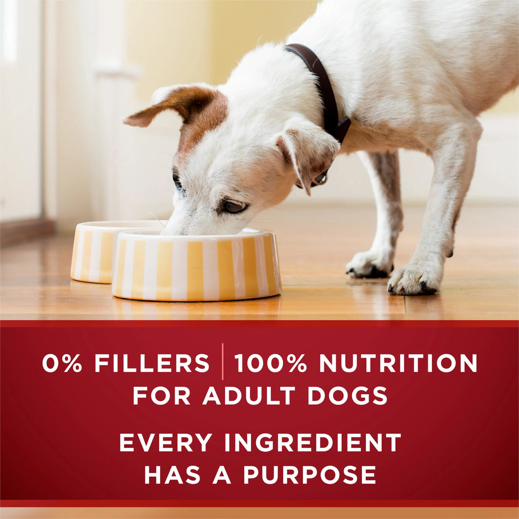 Wet Dog Food High Protein Tender Cuts in Gravy, Real Turkey & Venison, 13 oz Cans (12 Pack) N77299