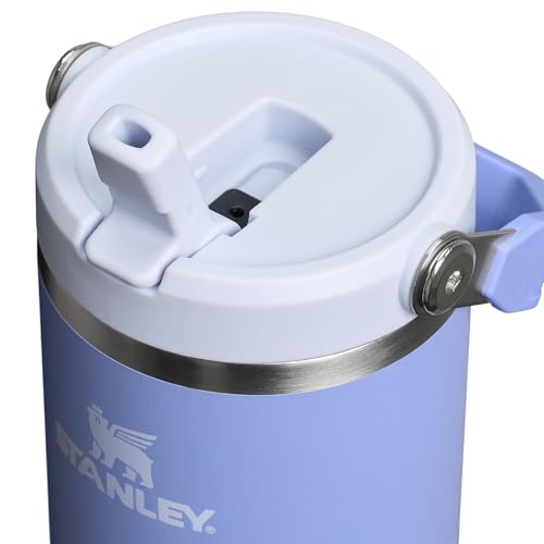 Stainless Steel Tumbler with Straw, Vacuum Insulated Water Bottle T393