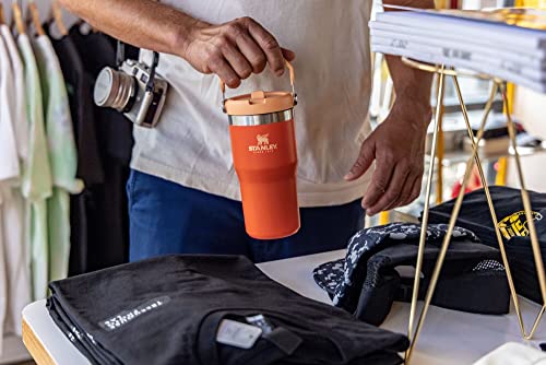 Stainless Steel Tumbler with Straw, Vacuum Insulated Water Bottle T393