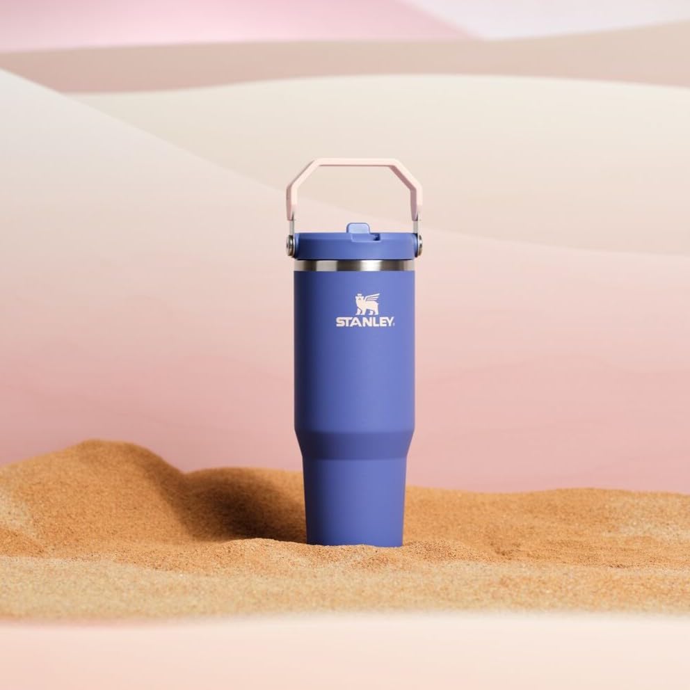 Stainless Steel Tumbler with Straw, Vacuum Insulated Water Bottle T393