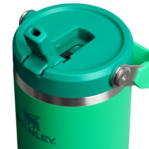 Stainless Steel Tumbler with Straw, Vacuum Insulated Water Bottle T393