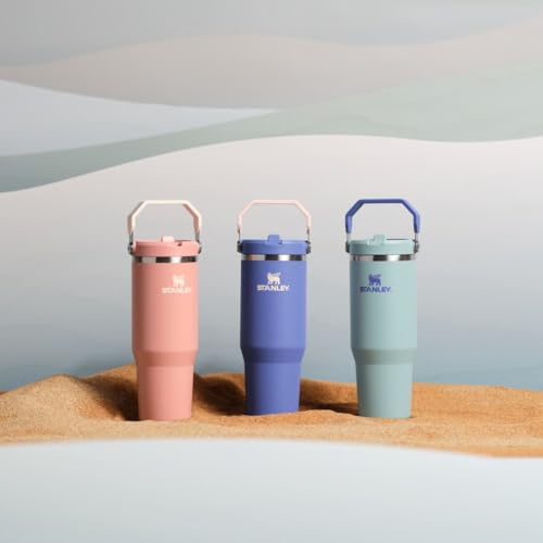 Stainless Steel Tumbler with Straw, Vacuum Insulated Water Bottle T393