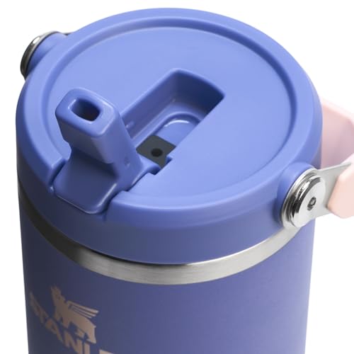 Stainless Steel Tumbler with Straw, Vacuum Insulated Water Bottle T393