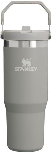 Stainless Steel Tumbler with Straw, Vacuum Insulated Water Bottle T393