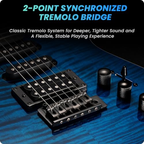 Solid Body Electric Guitar Kit with 24 Frets, HSS Pickup, Black R4019