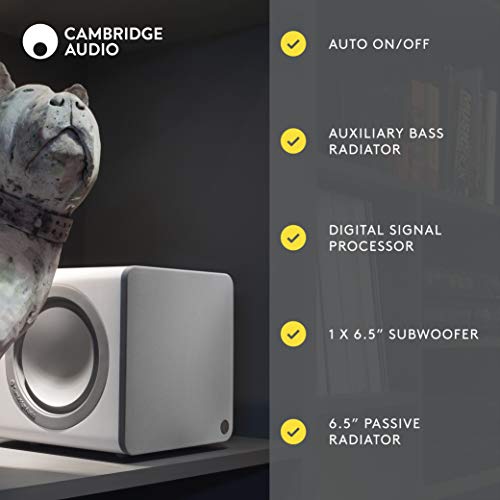 Active Subwoofer with Twin Bass Drivers and Adjustable Sound - White R409