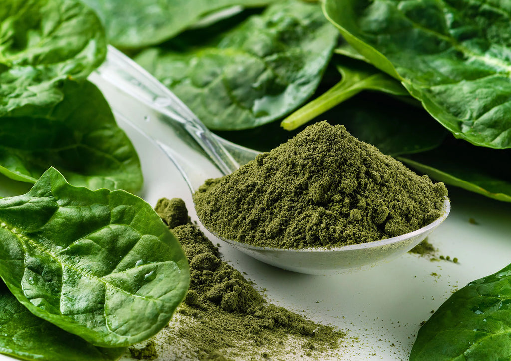 Organic Spinach Powder, 16 Pounds – Non-GMO, Kosher, Vegan V7008