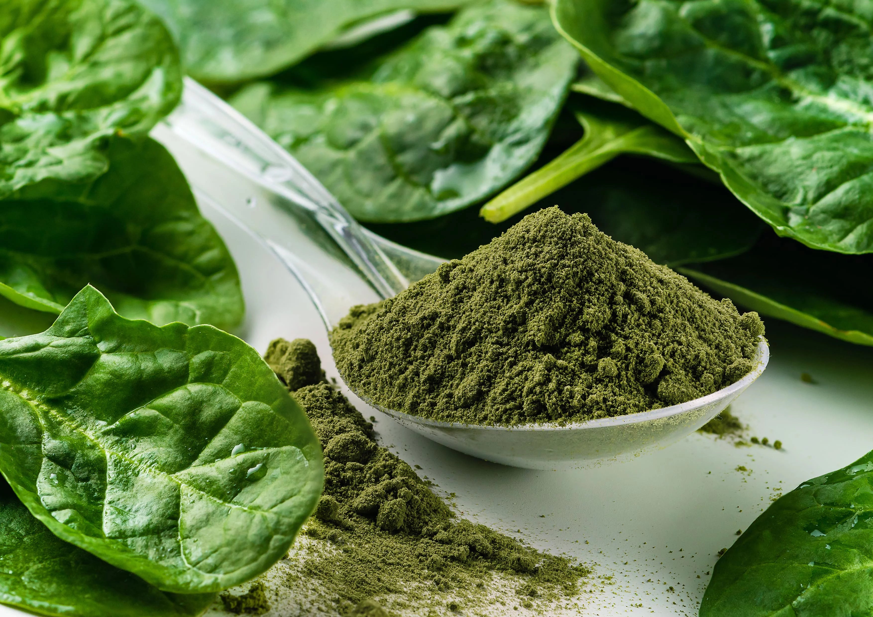 Organic Spinach Powder, 16 Pounds – Non-GMO, Kosher, Vegan V7008