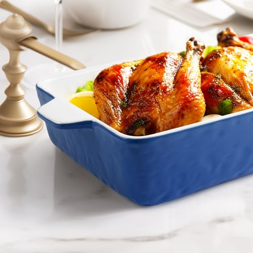 Ceramic Baking Dish with Handles, 9x13 Oven Casserole Pan Q16283