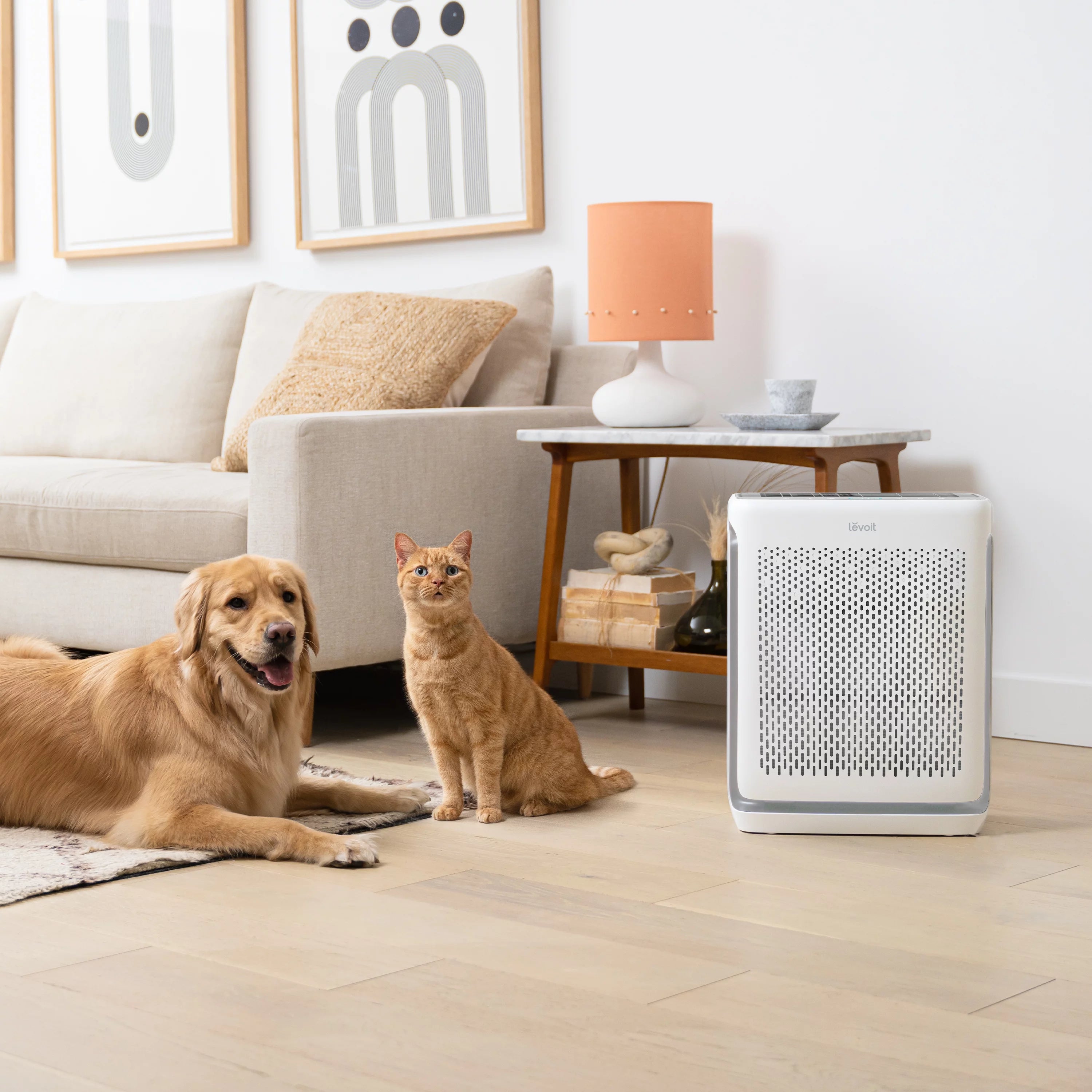 Air Purifier for Large Rooms, 1110 sq ft U156423