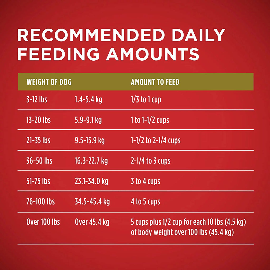 Adult Lamb & Rice Dry Dog Food R5120