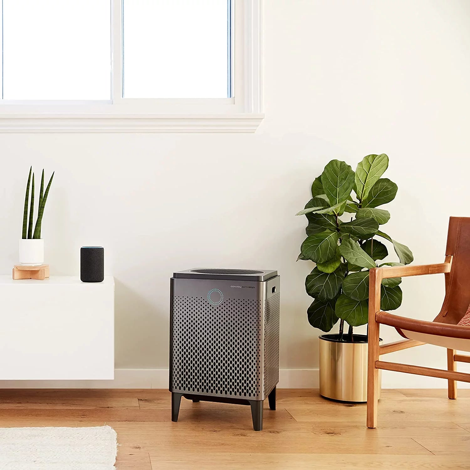 True HEPA Air Purifier with 1560 sq ft Coverage, WiFi Enabled N625