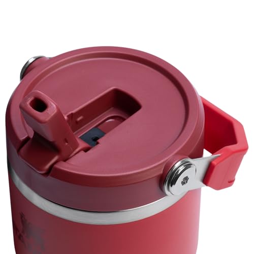 Stainless Steel Tumbler with Straw, Vacuum Insulated Water Bottle T393