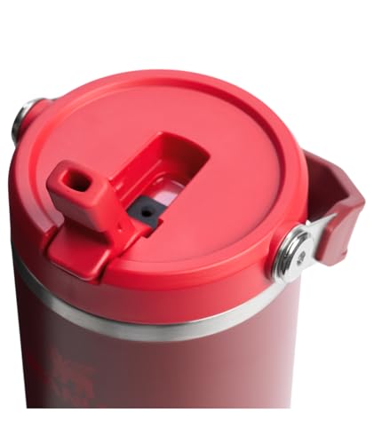 Stainless Steel Tumbler with Straw, Vacuum Insulated Water Bottle T393