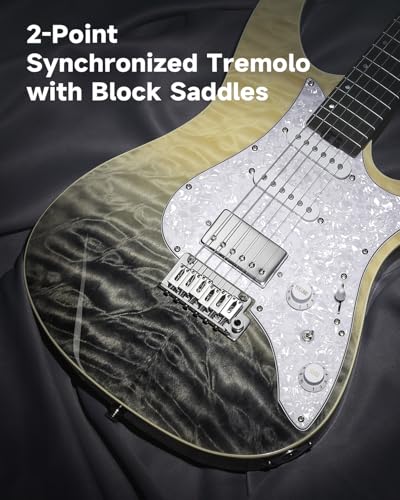Electric Guitar with Poplar Body, Laurel Fretboard, Tremolo Bridge V5893