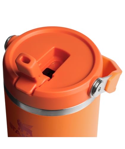 Stainless Steel Tumbler with Straw, Vacuum Insulated Water Bottle T393